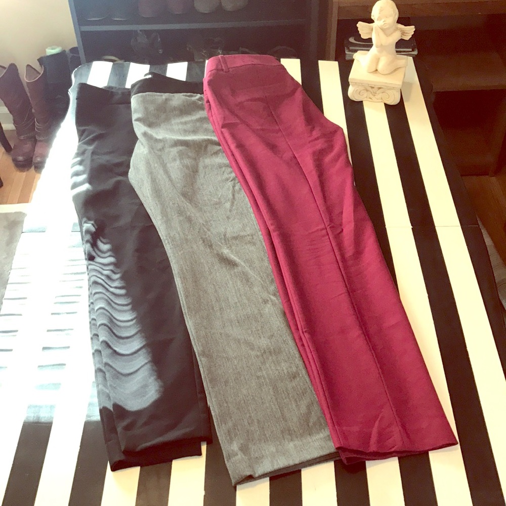 Express Pants